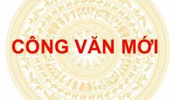 Hội đồng Đội Ba Đình: Công văn triển khai chương trình " Thiếu nhi Việt Nam - Học tập tốt, rèn luyện chăm"