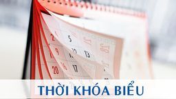 Trường TH Ba Đình thông báo Nội dung học trực tuyến - Tuần 10 (Từ ngày 8/11 đến ngày 12/11/2021)