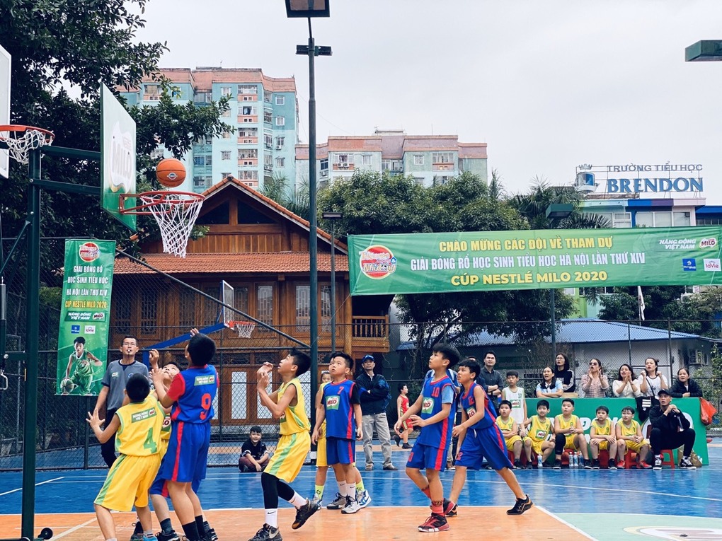 Điều lệ giải bóng rổ truyền thống trường Tiểu học Ba Đình năm 2022