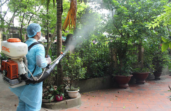 Quận Ba Đình: Tăng cường phòng chống sốt xuất huyết